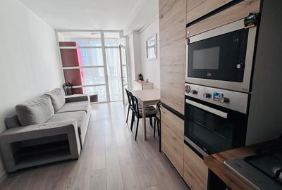 Apartament cu 2 camere semidecomandat în Serele Vișoianu - 2