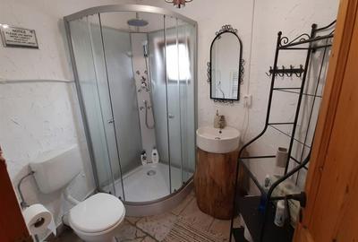Casă individuală cu 2 camere cu Teren 1300 Mp în Prisaca Dornei - 8