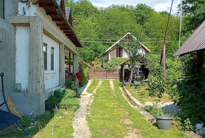Casă cu 1 camere cu Teren 670 Mp în Stroești - 1