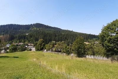 Teren în Voroneț - 3