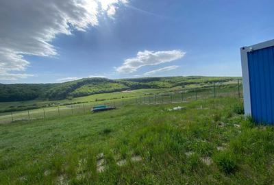Teren de 642 mp, în Betfia - 2