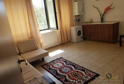 Casă cu 10 camere cu Piscina în Sărata-Monteoru - 13
