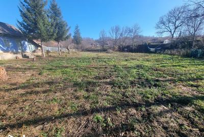 Casă cu 4 camere cu Teren 3686 Mp în Central - 3