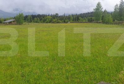 Teren de 6200 mp, în Central - 2