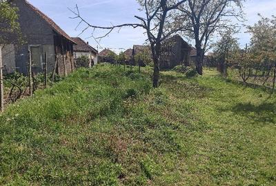 Casă cu 2 camere cu Teren 2500 Mp în Uileacu de Criș