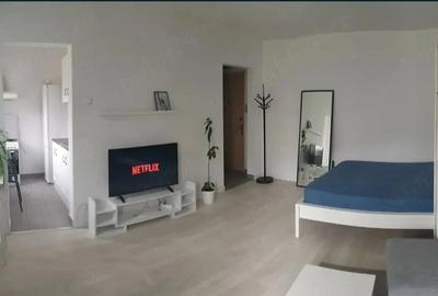 Garsonieră decomandată în Gorjului