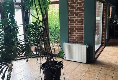 Casă individuală cu 11 camere cu Canalizare în Chișoda - 5