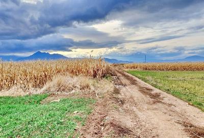 Teren agricol extravilan de 8400 mp, în Tărlungeni - 6