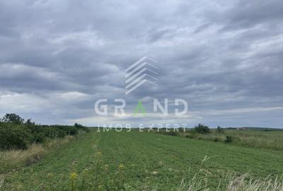 Teren de 5700 mp, în Copăceni