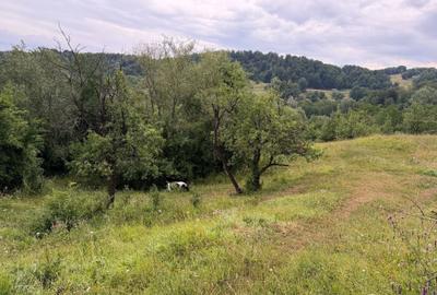 Teren de 2600 mp, în Drajna