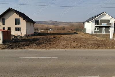 Teren de 750 mp, în Hamba - 3