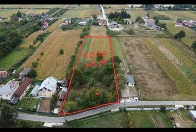 Teren Construcții intravilan de 5000 mp, în Băiculești - 2