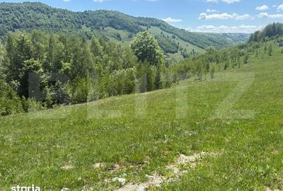 Teren de 1000 mp, în Băișoara