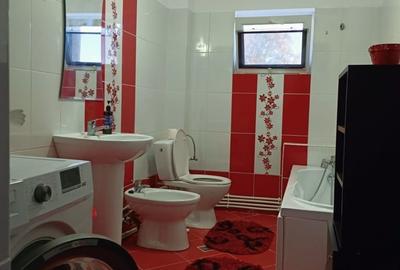 Apartament cu 2 camere semidecomandat în Valea Lupului - 7