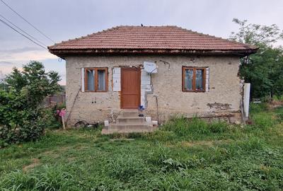 Casă cu 2 camere în Săpoca - 4