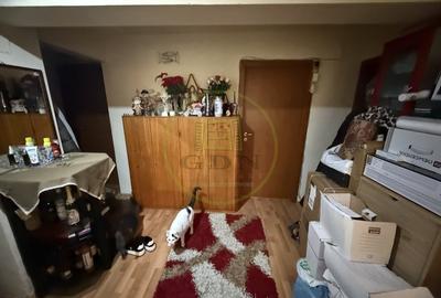 Apartament cu 3 camere decomandat, mobilat în Valea Rosie