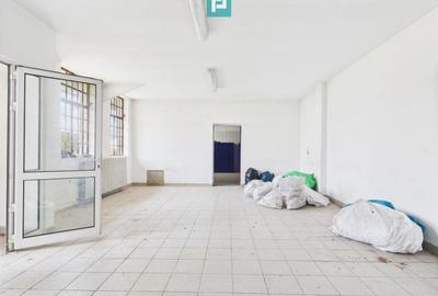 Spațiu industrial, de 1,800 mp, în Teiu - 13