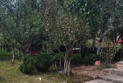 Casă cu 4 camere cu Teren 320 Mp în Central