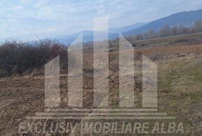 Teren agricol extravilan de 15800 mp, în Tărtăria - 2