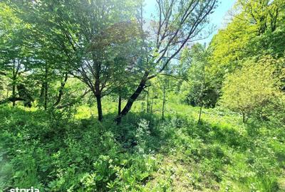 Teren de 8300 mp, în Mărgineni