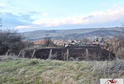 Teren Construcții intravilan de 2125 mp, în Henig - 5