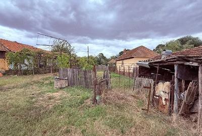 Casă cu Teren 200000 Mp în Potcoava