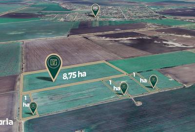 Teren de 117500 mp, în Central - 2