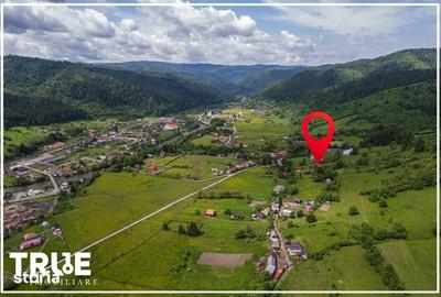Casă cu 5 camere cu Teren 4015 Mp în Lunca - 20