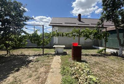 Casă cu 4 camere cu Teren 795 Mp în Cefa - 15