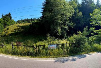 Teren extravilan de 10290 mp, în Șinca Nouă - 1