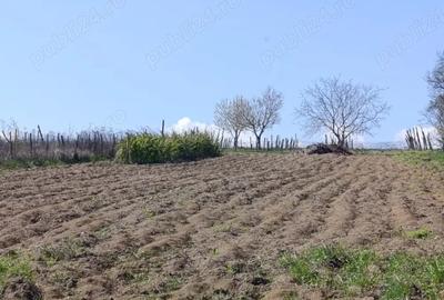 Casă în Ionășeni (Trușești) - 8