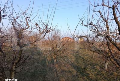 Spațiu comercial, de 300 mp, în Filipeștii de Pădure - 1