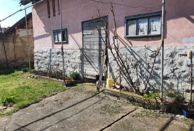 Casă cu 3 camere în Petrani