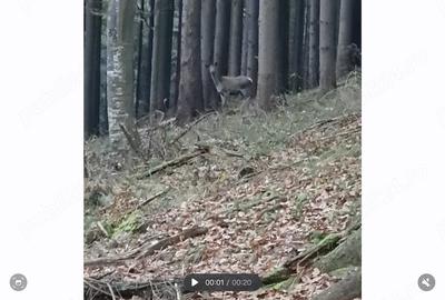 Teren de 130 mp, în Vama Buzăului