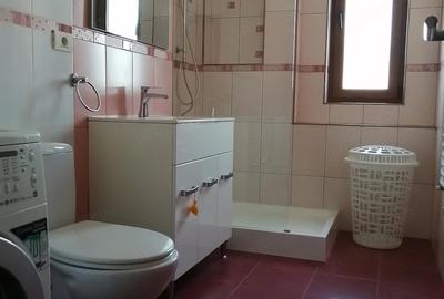Apartament cu 2 camere nedecomandat în Dumbrăvița