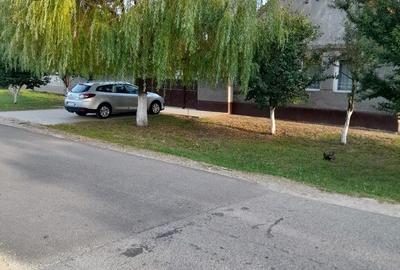 Casă cu 4 camere cu Teren 1400 Mp în Șimand