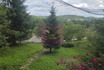Casă cu 5 camere în Central