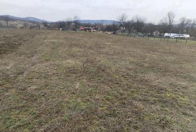 Teren de 3000 mp, în Vața de Jos - 8