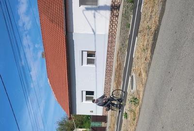 Casă cu 3 camere cu Teren 1650 Mp în Cenei - 10