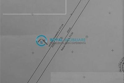 Teren Construcții intravilan de 7840 mp, în Păuleștii Noi - 1