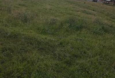 Teren de 440 mp, în Central - 1