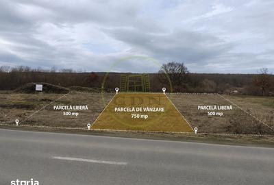 Teren de 750 mp, în Central