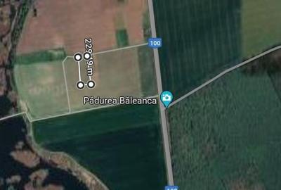Teren Construcții intravilan de 753 mp, în Brănești - 2