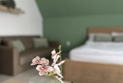 Apartament decomandat în Centrul Istoric