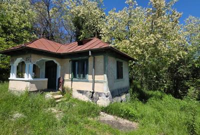 Casă cu 3 camere în Central - 1