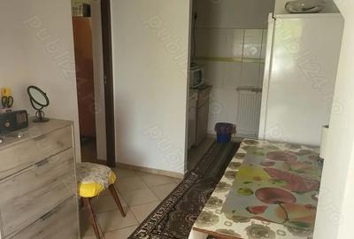 Casă cu 2 camere în Vitănești