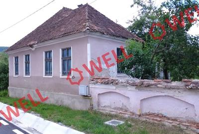 Casă cu 3 camere cu Teren 3599 Mp în Vârghiș - 2