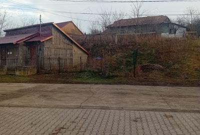 Casă cu 2 camere în Ungureni