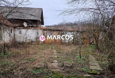 Casă individuală cu 3 camere cu Teren 1000 Mp în Goruia - 3