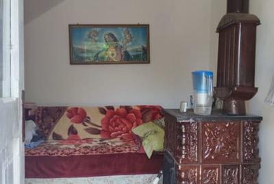Casă cu 2 camere cu Teren 2000 Mp în David - 4